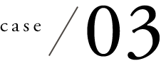 case.03